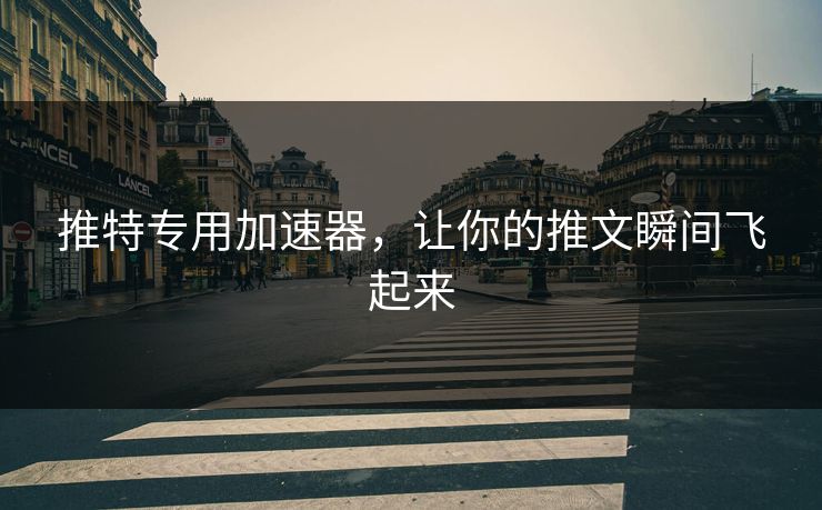 推特专用加速器，让你的推文瞬间飞起来