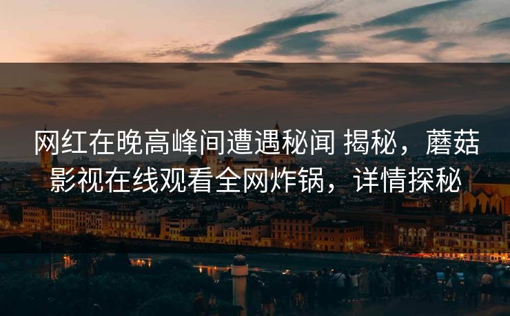网红在晚高峰间遭遇秘闻 揭秘，蘑菇影视在线观看全网炸锅，详情探秘