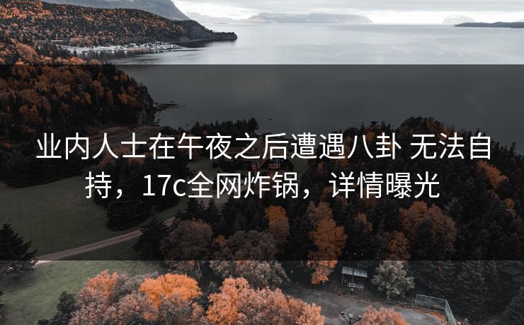 业内人士在午夜之后遭遇八卦 无法自持，17c全网炸锅，详情曝光