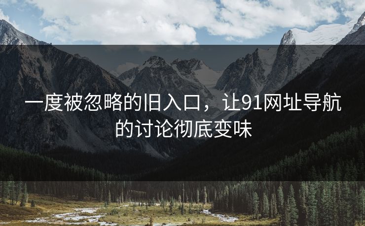 一度被忽略的旧入口，让91网址导航的讨论彻底变味